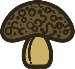 Spora logo
