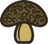 Spora Logo